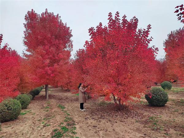 0ea3be1e017dcba7f11a201001564b5 0ea3be1e017dcba7f11a201001564b5