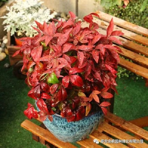 微信圖片_20220723161355