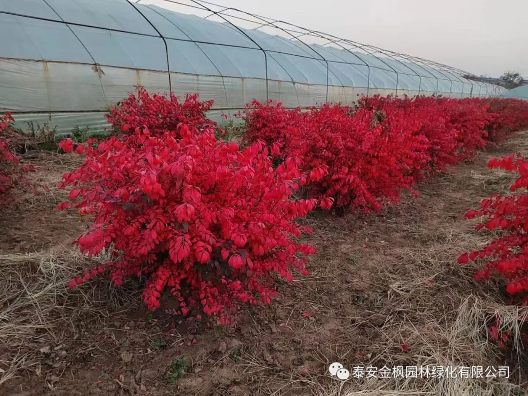 微信圖片_20230130101416 微信圖片_20230130101416